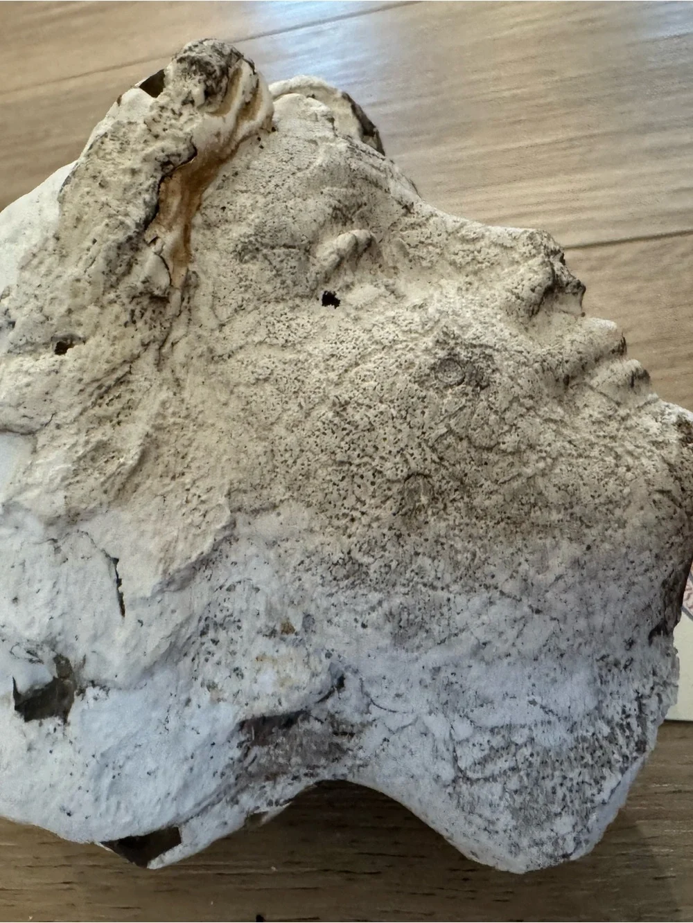Vintage Plaster Cement Lady Bust Female Head Fragment - Picture 9 of 10